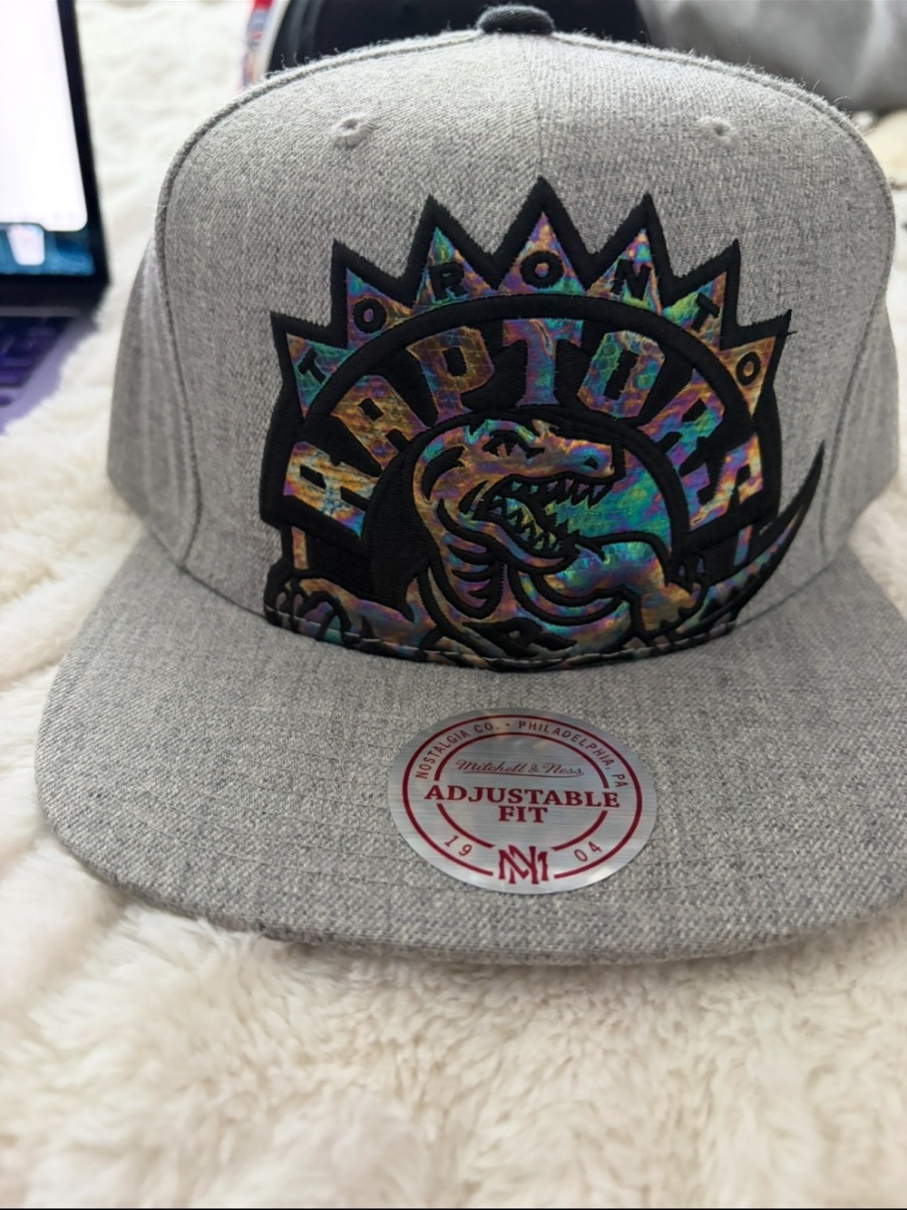 Mitchell & Ness Toronto Raptors Gray Snapback Hat with Holographic Logo
